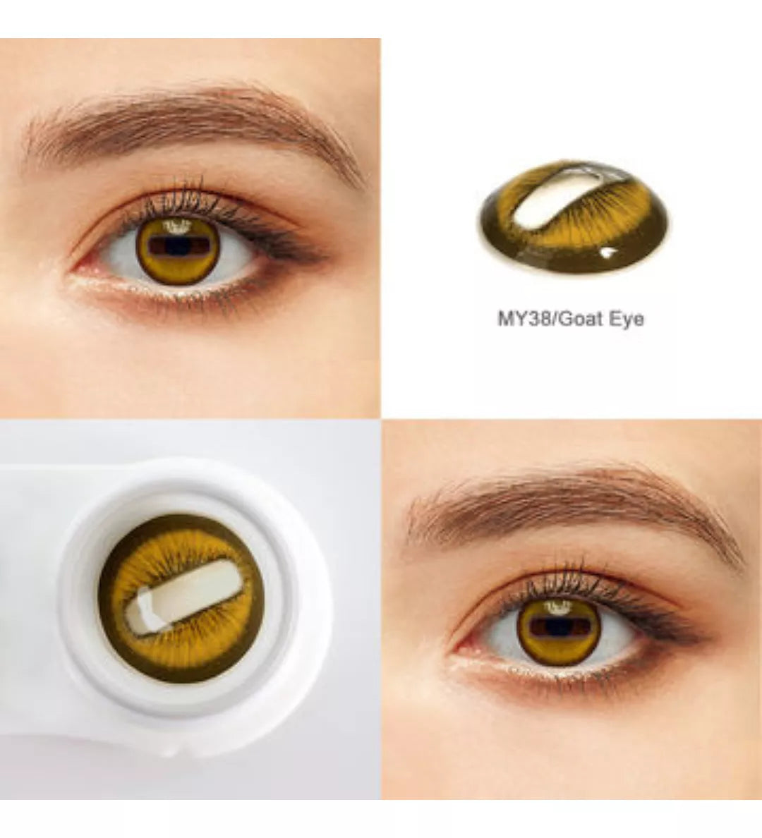 MY38 Brown Halloween