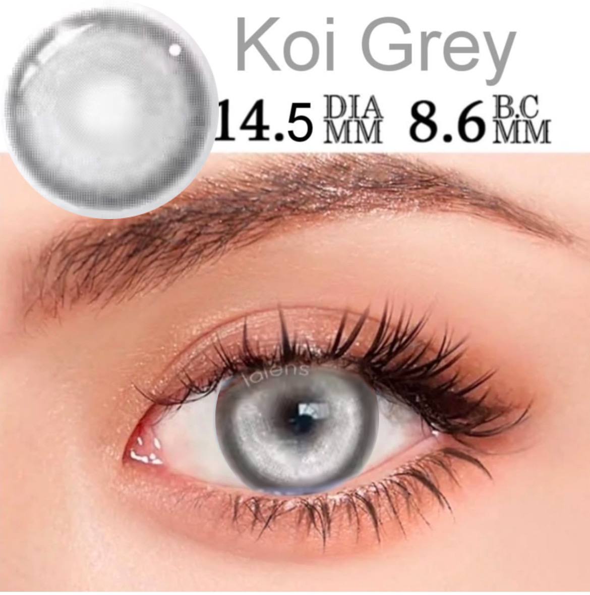 Koi Grey