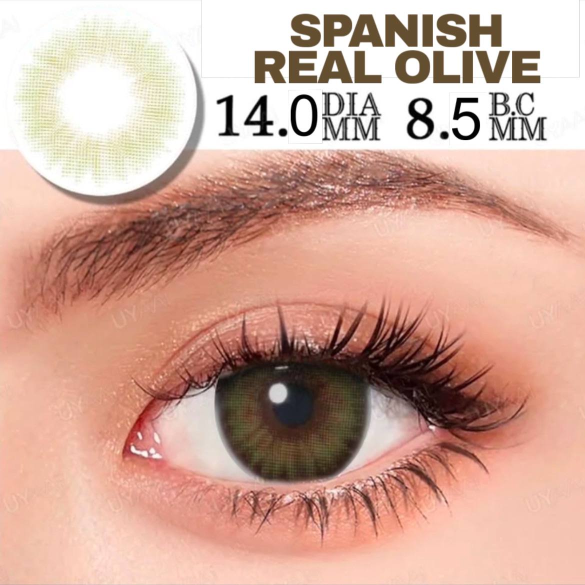 Línea Spanish Real