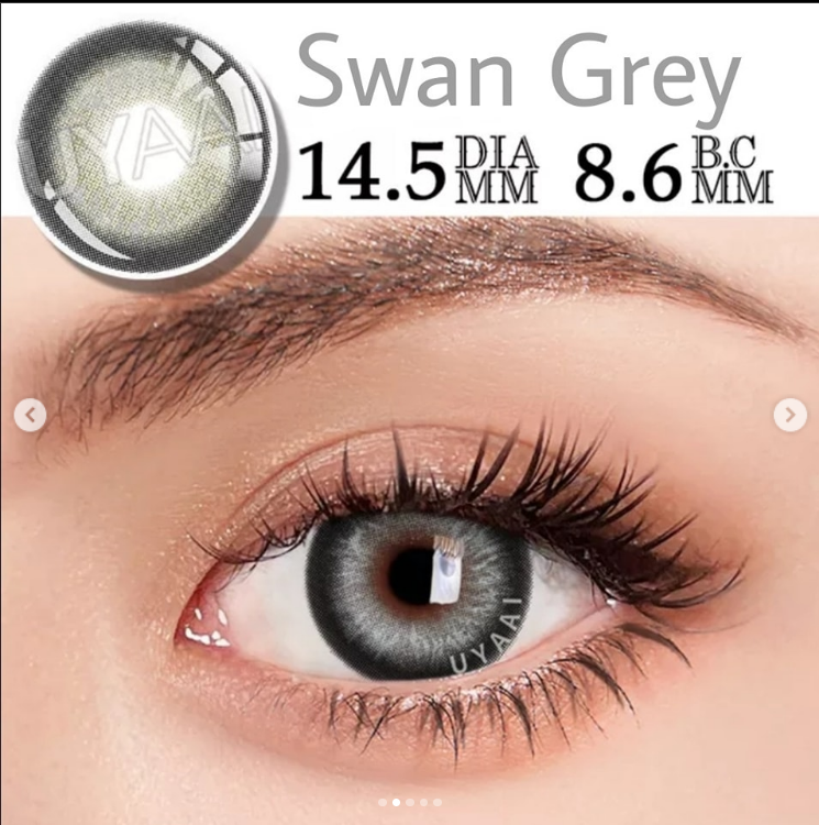 Swan Grey