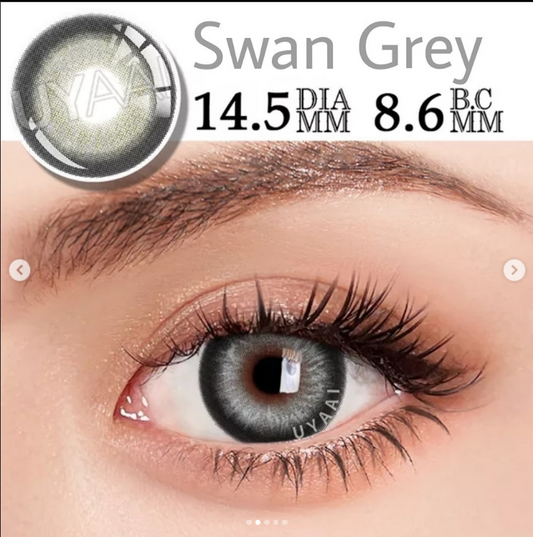 Swan Grey