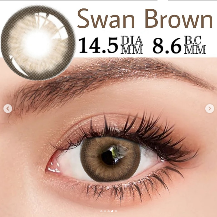 Swan Brown