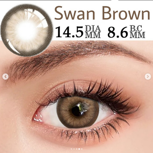 Swan Brown