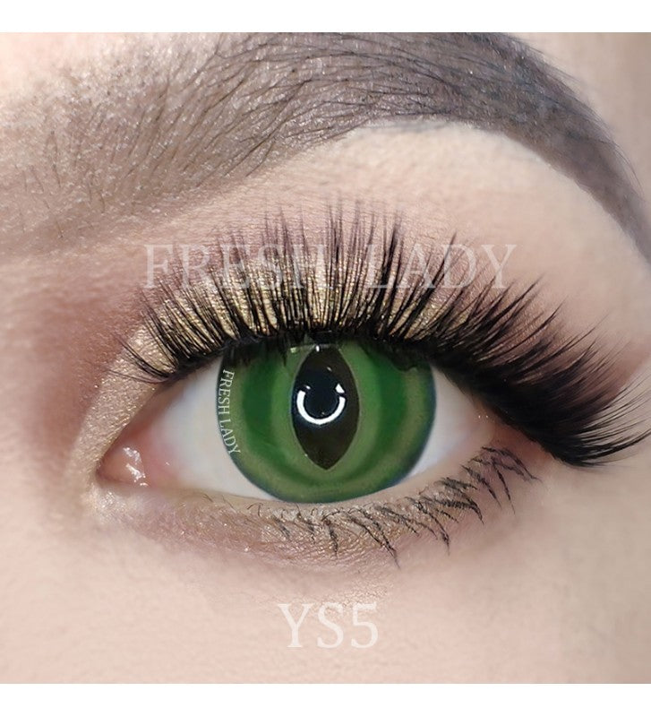 YS5 British shorthair Green halloween