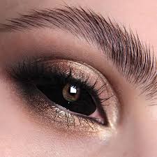 Sclera completa 22 MM